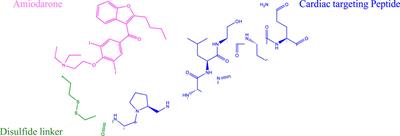 Conjugation of amiodarone to a novel cardiomyocyte cell penetrating peptide for potential targeted delivery to the heart